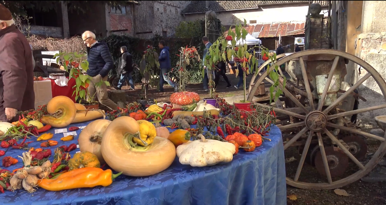 Immagine di presentazione: Antica Fiera di San Martino a Godiasco