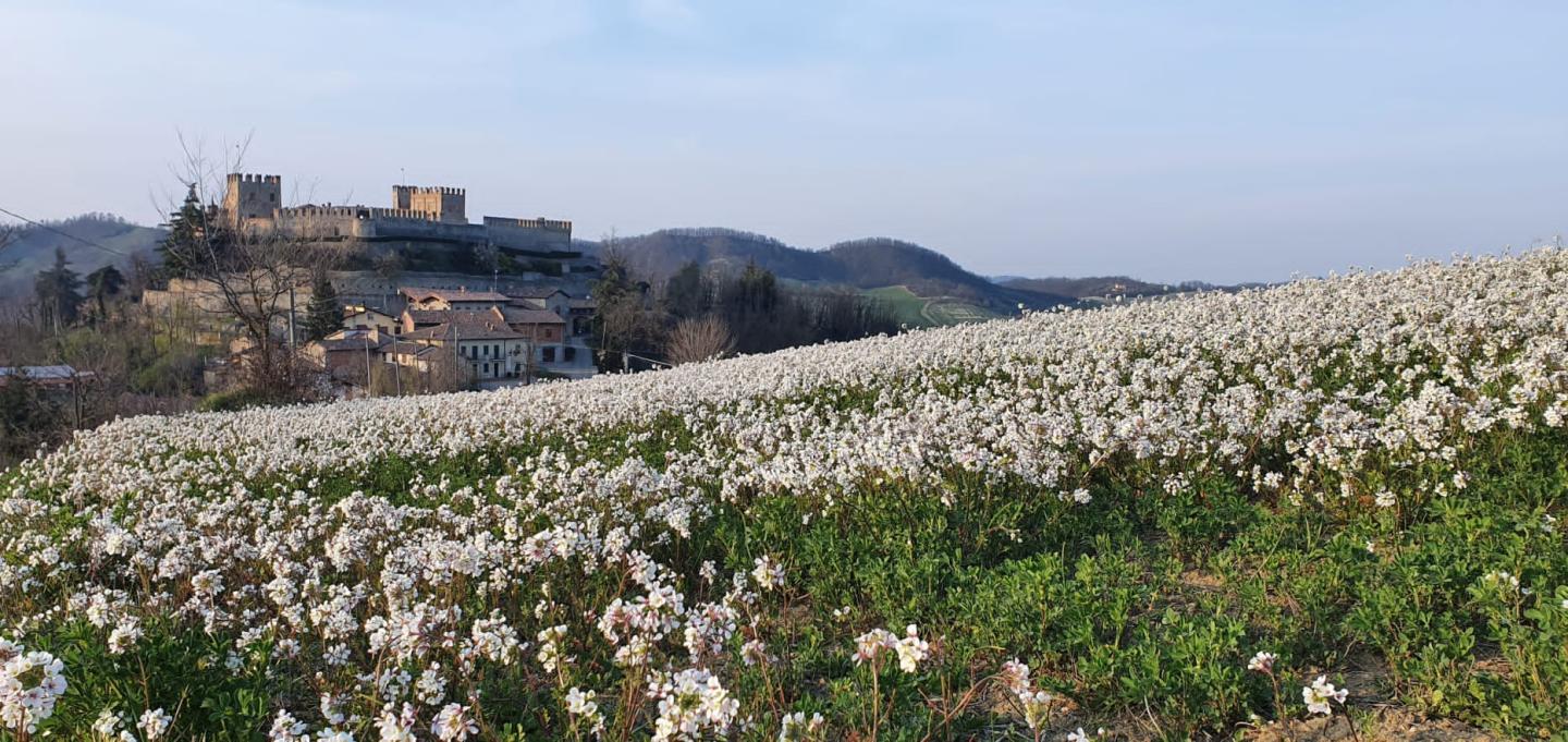 Immagine di presentazione: Trekking delle sorgenti a Montesegale