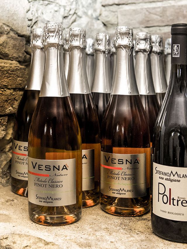 Une bouteille de vin biologique Stefano Milanesi
