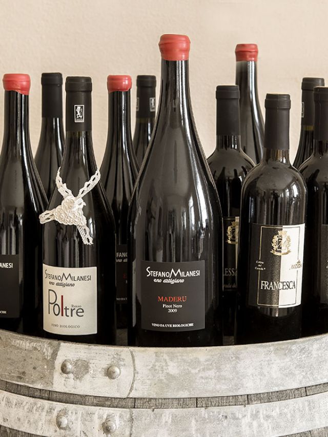 Détail de la cave Stefano Milanesi